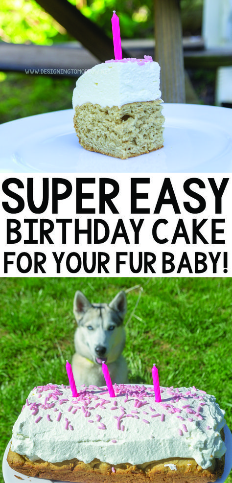 Easy Puppy Birthday Cake Recipe - Designing Tomorrow