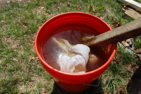 Chicken Manure Tea for seedlings Chicken Manure Compost, Manure Tea, Manure Composting, Chicken Manure, Chicken Poop, Diy Chicken Coop Plans, Compost Tea, Homestead Gardens, Diy Chicken