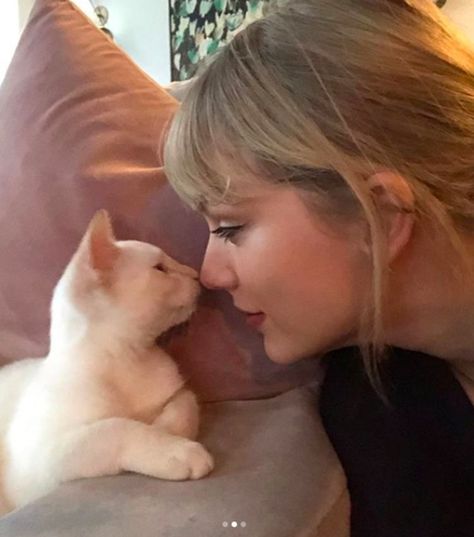 Taylor Swift Cat, Taylor Swift Fotos, Cat Call, Estilo Taylor Swift, Swift Photo, Taylor Swift Funny, Cat Icon, Red Taylor, Long Live Taylor Swift