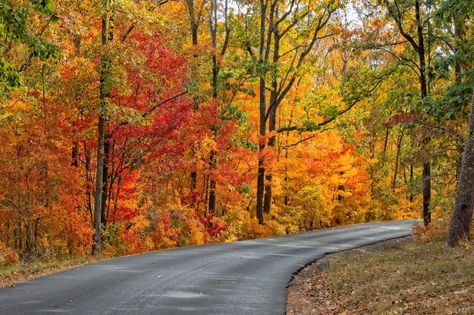 Your Ultimate Guide To Fall Attractions And Activities In Alabama Alabama Road Trip, Best Road Trips, Road Trip Ideas, Scenic Road Trip, Scenic Roads, Fall Travel, Road Trip Fun, Nature Trail, Road Trip Itinerary