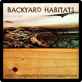 One Great Backyard: Get Outside and Play: Animal Habitats Amuse Journey, Animal Habitat, Badge Ideas, Habitat Garden, Retirement House, Girl Scout Juniors, Classroom Tips, Daisy Girl Scouts, Girl Scout Leader