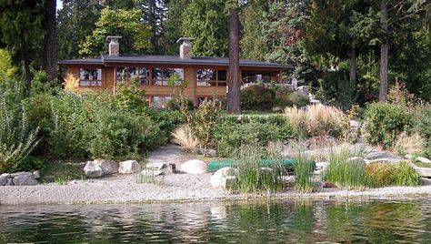 Shoreline Restoration Options Lake Landscaping, Lakeside Garden, Lakeside Beach, Acre Homestead, Natural Swimming Ponds, Lake Washington, Sustainable Landscaping, Pond Landscaping, Swimming Pond