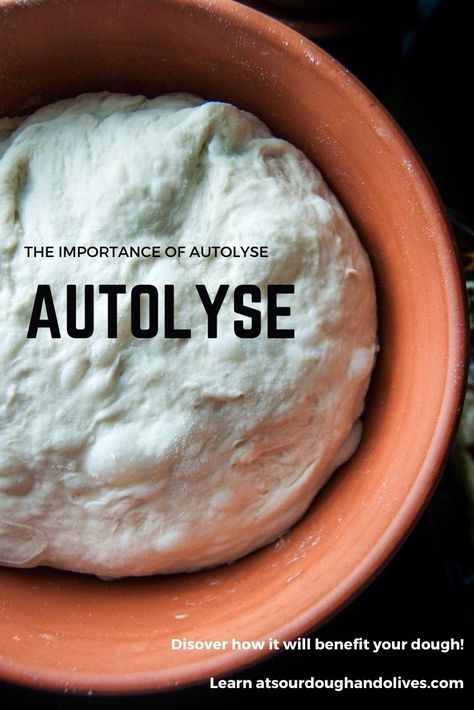 Autolyse Sourdough, Sourdough Timeline, Sourdough For Dummies, Sourdough Inclusions, Sour Dough Bread Starter Recipe, Sourdough Tips, Fermented Bread, Sourdough Bread Starter, Sourdough Starter Discard Recipe