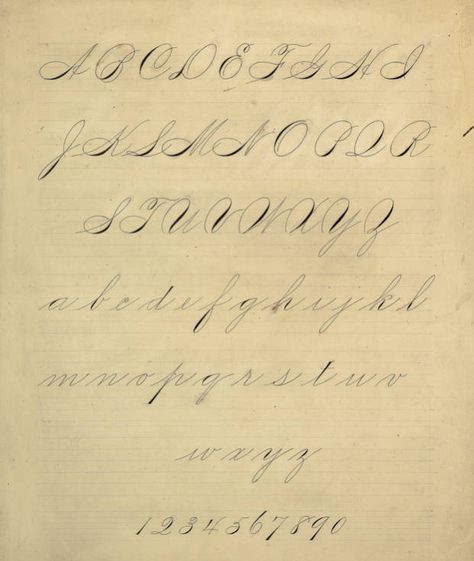 Penmanship Handwriting, Victorian Lettering, University Of Scranton, Calligraphy Letters Alphabet, Pen Work, Lettering Guide, Neat Handwriting, Alphabet Style, Cursive Alphabet