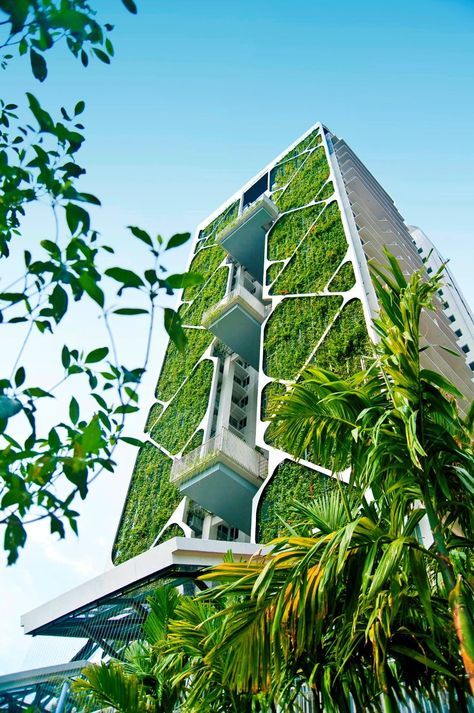 Large Vertical Garden, Big Architects, Green Facade, Green Architecture, Vertical Gardens, Amazing Buildings, Green Walls, Green City, Sustainable Architecture