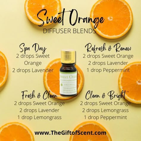 Sweet Orange Diffuser Blends, Citrus Oil Diffuser Blends, Sweet Orange Essential Oil Blends, Sweet Diffuser Blends, Orange Diffuser Blends, Orange Essential Oil Blends, Essential Oils Focus, Feeling Calm, Essential Oil Combinations