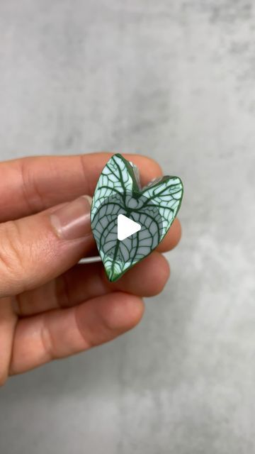 Astrid Wilk on Instagram: "Caladium season is starting soon. Do you have any suggestions for which caladiums I should definitely make this spring?! So many great and colorful leaf patterns with transparencies. I can’t wait to get started. This is my white Christmas cane. Made from raw polymer clay in plain green and white. When reduced to miniature size and baked, the different transparencies appear in the pattern. All miniature plant sculptures are unique and handmade by me from polymer clay using the cane technique to create very intricate patterns using only colored clay. They are not painted on. The plants are attached to custom-made wood shelves with magnets and can be used both as wall objects and as individual plants in the doll’s house.🪴 #astridwilkdiy #polymerclaycane #polymercl Polymer Clay Leaf Cane Tutorial, Polymer Clay Plants, Clay Plants, Polymer Clay Leaf, Polymer Clay Magnet, Clay Inspo, Colored Clay, Paper Flower Art, Clay Magnets