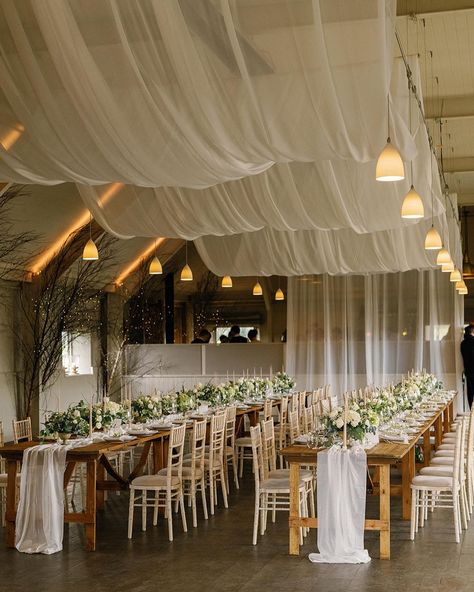 Ceiling Florals Wedding, Simple Wedding Venues, Diy Wedding Drapery, Ranch Style Wedding, Reception Ceiling, Draping Wedding, Wedding Ceiling, Ceiling Draping, Romantic Florals