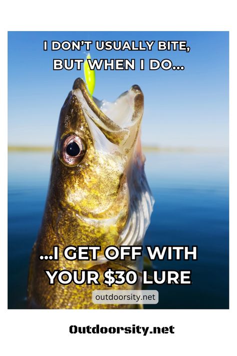 Finding a great fishing meme collection is like catching the perfect fish. With fishing puns and jokes, these pins offer a light-hearted break. Save these pins to share a laugh with your fishing pals. Great for those who appreciate fishing humor and are ready for some fun! Fishing Funny Humor, Fishing Puns, Fishing Meme, Fish Puns, Fishing Quotes, Fishing Humor, Quotes Funny, Puns, Some Fun