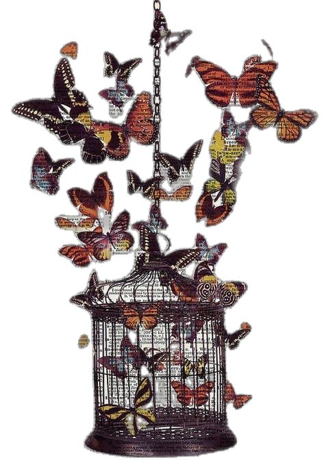 Selectively Extrovert, Bird Cage Aesthetic, Cage Aesthetic, Butterfly Cage, Small Poems, Into The Void, Butterflies Art, Butterfly Art Print, Vintage Bird Cage