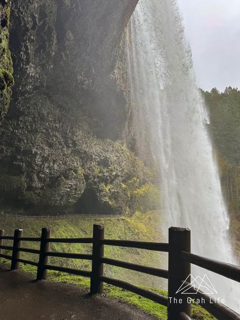 Silver Falls State Park: Everything You Need to Know — The Grah Life Silverton Oregon, Oregon Garden, Oregon State Parks, Adventurous Travel, Silver Falls State Park, Visit Oregon, Silver Falls, Beautiful Waterfalls, Icy Blue