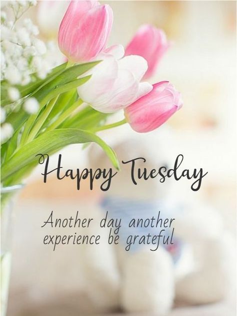 Happy Tuesday! Another day to be grateful for all we experience! Happy Tuesday Images, Tuesday Images, Tuesday Greetings, Hello Tuesday, Bon Mardi, Hugs And Kisses Quotes, Happy Tuesday Quotes, Good Morning Greeting Cards, Tuesday Quotes