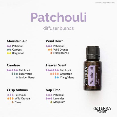 Doterra Patchouli Diffuser Blends, Essential Oil Recipes With Patchouli, Diffuser Blends Patchouli, Essential Oil Blends With Patchouli, Patchouli Perfume Blend, Patchouli Oil Benefits, Patchouli Perfume Diy, Patchouli Diffuser Blend, Patchouli Essential Oil Blends