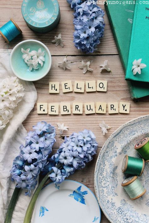 Hello February Month, Hello February Wallpaper, February Hello, Hello February Quotes, Welcome February, February Quotes, Skiing Holiday, February Wallpaper, February Month