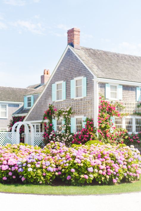 Nantucket Climbing Roses and Hydrangeas Aesthetic Massachusetts, Vineyard Bachelorette, Vineyard Outfit, Nantucket House, Nantucket Style Homes, Hamptons Aesthetic, Nantucket Summer, Roses And Hydrangeas, Nantucket Home