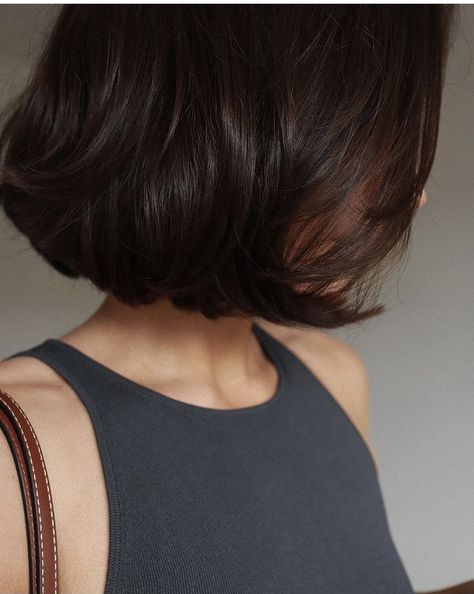 Chin Length Bob Aesthetic, Dark Academia Bob Hair, Brunette Chin Length Bob, French Bob Taylor Lashae, Black Bob With Bangs Aesthetic, The Butterfly Haircut, Haircut Tips, Trendy Bob, Butterfly Haircut