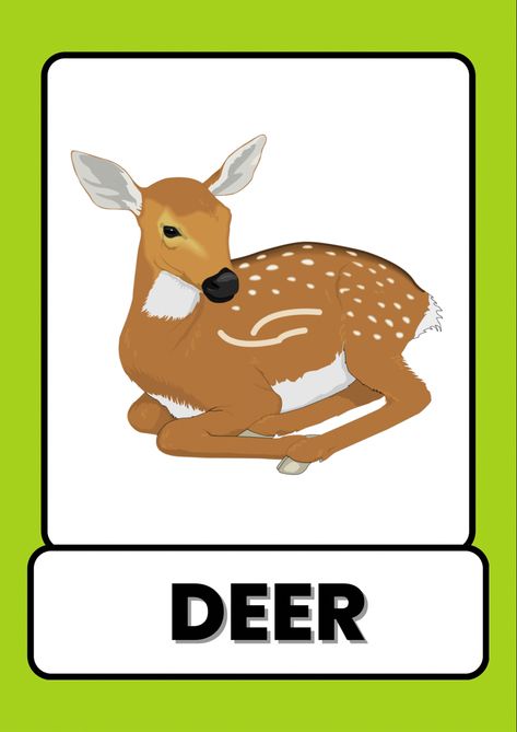 animals flash card, animals flash cards, farm animals flash card, animals flash cards pdf, wild animals flashcards, zoo animal flashcards, animals flashcards pdf, animals flashcards printable, animals flashcards free printable, flashcards of animals, flash cards or flashcards Wild Animals Worksheets For Kids, Wild Animals Flashcards, Animals Flashcards For Kids, Kids Learning Alphabet, Abc Preschool, Learning Alphabet, Different Types Of Animals, Animal Flashcards, Kids Animals