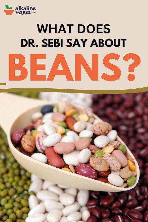 Beans Dr Sebi Nutritional Guide, Lentils Nutrition, Dr Sebi Herbs, Dr Sebi Diet, Dr Sebi Recipes Alkaline Diet, Garbanzo Bean Recipes, Body Dr, Dr Sebi Alkaline, Dr Sebi Alkaline Food