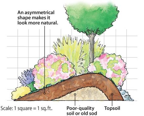 Privacy Landscaping, Landscape Elements, Garden Shrubs, Large Backyard, Landscape Designs, Landscape Plans, Top Soil, Landscaping Tips, Garden Landscape Design