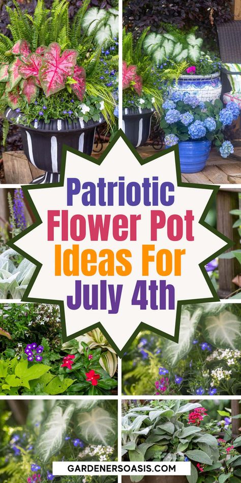 July 4th Containers: Patriotic Red, White and Blue Flower Pot Combinations | 4th of July Flower Pot Combinations, Patriotic Outdoor Decor, Blue Flower Pot, Planting Containers, Summer Outdoor Decor, Blue Container, Patriotic Flowers, 4th Of July Decor, Full Sun Plants