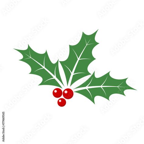 Stock Image: Christmas holly berry leaves. Vector illustration. Vine Drawing, Traditional Christmas Decorations, Leaf Illustration, Leaves Vector, Holly Berry, Holly Berries, Holly Leaf, Christmas Holly, Christmas Traditions