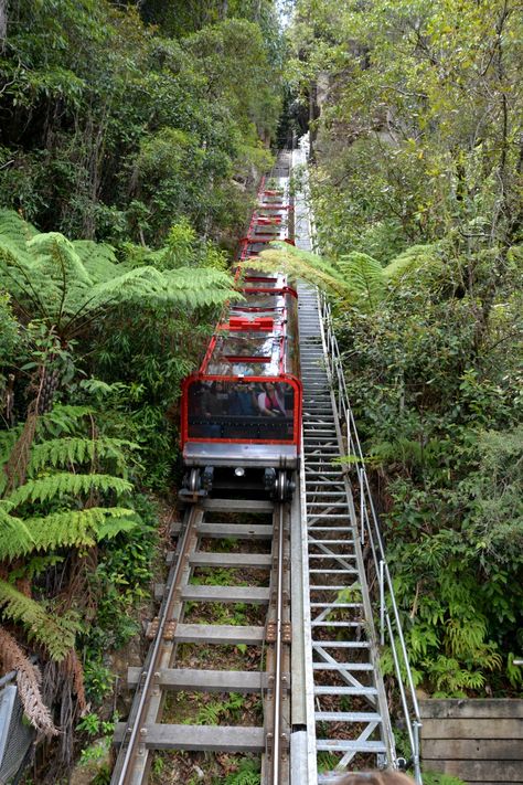 Sydney Aesthetic, Aus Travel, Traveling Australia, Sydney Trip, Blue Mountains Australia, Australia Trip, Australia House, Australia Tourism, Sydney Travel