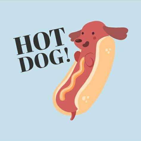 Dachshund Illustration Drawings, Dachshund Hot Dog, Dachshund Illustration, Pet Resort, Adobe Illustrator Graphic Design, Dachshund Art, Dachshund Love, Dog Walker, Dog Drawing