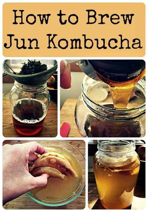 jun collage Jun Kombucha, Fermenting Foods, Fermented Drinks, Kombucha Scoby, How To Brew Kombucha, Homemade Kombucha, Kombucha Recipe, Green Tea And Honey, Probiotic Drinks