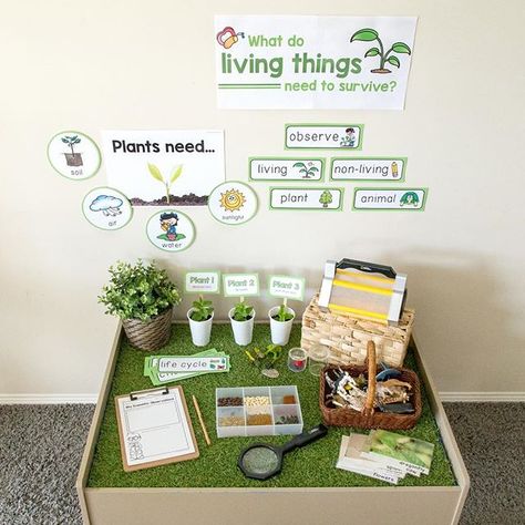 Living And Non Living Things Activity For Kindergarten, Train Table Hack, Foundation Classroom, Continuous Provision Year 1, Science Center Preschool, Year 1 Classroom, Science Area, Living And Nonliving, Plants Unit