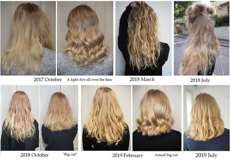 Grow Out Natural Hair Color, Growing Out Natural Hair Color, Blonde Hair From Brown, Growing Hair Out, Natural Hair Color Chart, Levels Of Hair Color, Grow Out Hair, Grown Out Blonde Hair, Sugar Bear Hair