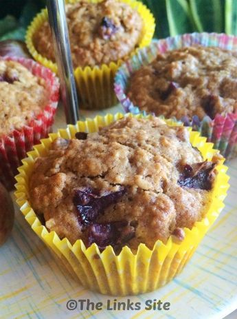 Plum Oat Muffins - thelinkssite.com Plum Oat Muffins, Plum Muffins, Healthy Oats, Plum Recipes, Healthy Version, Oat Muffins, Lemon Muffins, Breakfast Idea, Chocolate Muffins