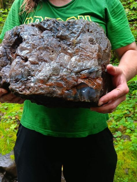 Man Discovers a Massive 60lb Agate on the Oregon Coast Raw Agate Rocks, Rockhounding Oregon, Silver Falls Oregon, Gem Hunting, Raw Gemstones Rocks, Rock Science, Gem Hunt, Rock Identification, Heart Shaped Rocks