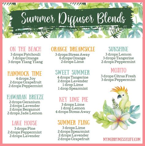 Essential Oils For Fresh Smelling House, Diffuser Blends Young Living, Summer Diffuser Blends, Summer Essential Oils, Eo Blends, Messy Life, Essential Oil Combinations, Essential Oil Diffuser Blends Recipes, Young Living Essential Oils Recipes