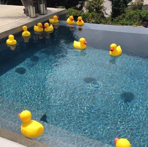 Baby shower idea, ducks in pool Duck Pool Party Ideas, Gender Reveal Ideas Pool Party, Summer Pool Baby Shower Ideas, Pool Side Baby Shower Ideas, Rubber Duck Pool Party, Baby Shower Pool Party Ideas, Pool Baby Shower Ideas Decoration, Pool Party Baby Shower Ideas Boy, Baby Shower Pool Decorations