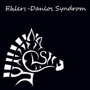 Ehlers Danlos Syndrome Types, Ehlers Danlos Syndrome Symptoms, Elhers Danlos Syndrome, Ehlers Danlos Syndrome Hypermobility, Zebra Tattoos, Sleeve Inspiration, Ehlers Danlos Syndrome Awareness, Awareness Tattoo, Ehlers Danlos