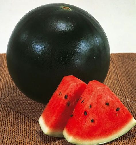 Learn the art of growing and savoring the succulent sweetness of Black Diamond watermelons (Citrullus lanatus 'Black Diamond'). Discover expert tips on cultivating these huge, juicy melons in your own garden and indulge in their irresistible flavors. Black Diamond Watermelon, Watermelon Vines, Growing Melons, Backyard Herb Garden, Black Watermelon, Homestead Life, Herb Gardens, Growing Veggies, Red Diamond