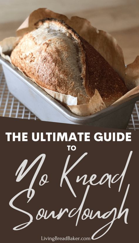 Sourdough In A Loaf Pan, Sourdough Bread In Loaf Pan, Loaf Pan Sourdough Bread, No Knead Sourdough Bread, Sourdough Sandwich Loaf, No Knead Sourdough, Sandwich Loaf, Sourdough Sandwich, Discard Recipes