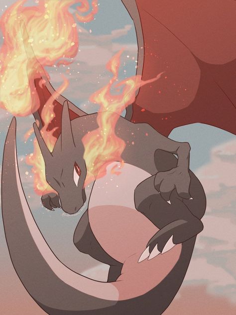 Charizard Evolution, Charizard Art, Action Poses Drawing, Pokemon Charizard, Chinese Cartoon, Cute Pokemon Pictures, Black Pokemon, Shiny Pokemon, Pokemon Images