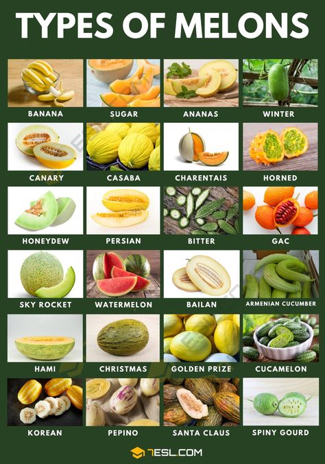 55 Different Types of Melons with "Juicy" Pictures Watermelon Ripeness, Types Of Melons, Fruits And Vegetables List, Culinary Cooking, Jesus Clothes, Fruit List, Winter Melon, Banana Plants, Types Of Fruit