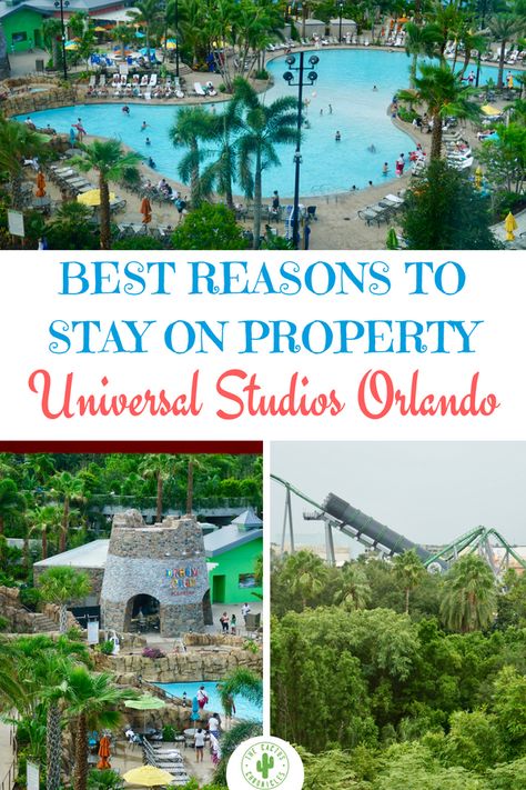 5 Best Reasons to Stay at Universal Studios Orlando Hotels - The Cactus Chronicles Universal Studios Hotels, Orlando Hotels, Universal Studios Orlando Trip, Florida Family Vacation, Disney Universal Studios, Universal Vacation, Reasons To Stay, Florida Outfits, Orlando Theme Parks