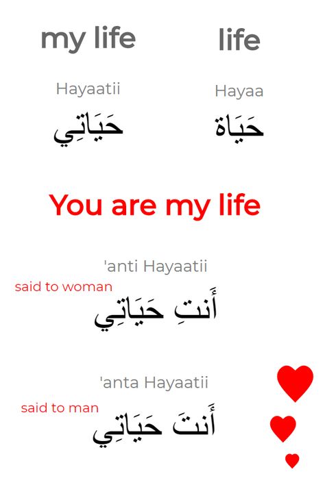 The Arabic word for "life" [Hayaa] is very useful. So is the word for "my life" [Hayaatii]. The trick to say that something is mine is to add [ii] in the end of the word. If the word is feminine, like "life" is in Arabic, instead add [tii] in the end. To be romantic and say "You are my life", just put the Arabic word for "you" before - [anti] for a woman and [anta] for a man. Words In Arabic, Arabic Sayings, Learning Arabic For Beginners, Spoken Arabic, Sms Language, Arabic Phrases, Learn Arabic Online, English Language Learning Grammar, Arabic Lessons