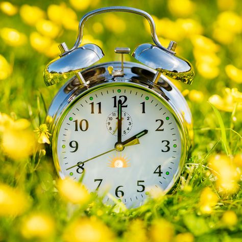 Daylight Savings Time is here! Remember to "Spring Forward." #daylightsavings #spring #springforward #flowers #springtime #hope #spring2023 #california Daylight Savings Time Spring, Daylight Saving Time Ends, Time Management Plan, Clocks Forward, Clocks Go Back, Daylight Saving Time, The Longest Night, Daylight Saving, Daylight Savings