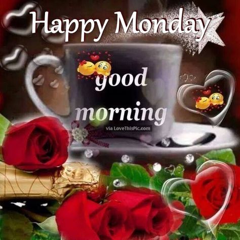 Happy Monday Good Morning Good Morning Monday Gif, Happy Monday Gif, Monday Gif, Cute Good Morning Gif, Monday Greetings, Prayer Pictures, Good Morning Monday, Good Morning Happy Monday, Happy Weekend Quotes