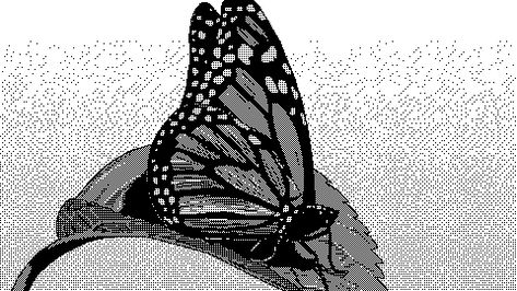 Urban Dictionary: Papillon Mattis Dovier, Butterfly Gif, Pixel Gif, Black And White Gif, Butterfly Watch, Motion Wallpapers, Japanese Horror, Arte 8 Bits, Butterfly Background