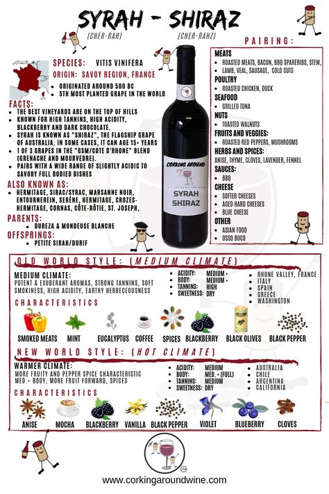 Corking Around Wine Profile of Syrah/Shiraz Syrah Wine Pairing, Shiraz Wine Pairing Food, Red Wine Dessert, Red Wine Drinks, Syrah Wine, Shiraz Wine, Bartender Drinks Recipes, Wine Cheese Pairing, Wine Chart