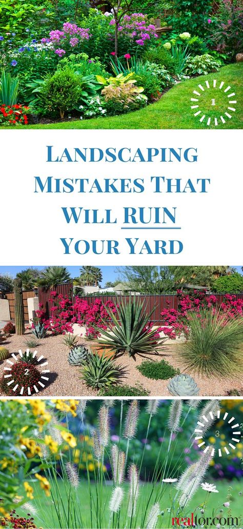 Large Area Landscape Ideas, Front Yard Burm Landscaping Ideas, Relandscaping Front Yards, Front Yard Low Water Landscape, Lawnscaping Front Yard, Small Front Yard Inspiration, Yard Focal Point Ideas, Center Yard Landscaping Ideas, Large Area Landscaping Ideas