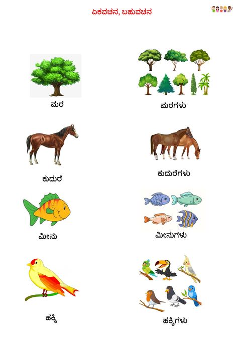 Learn Kannada Kannada Worksheets For Lkg, Singular To Plural, Learn Kannada, Alphabet Chart Printable, 3 Letter Words, Kannada Language, Kannada Quotes, English Worksheets For Kindergarten, Alphabet Chart