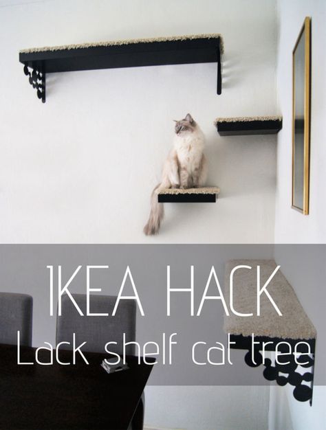 14 Best DIY Cat Shelves To Build for Your Feline Friend Katt Diy, Lack Shelf, Katt Grejer, Cat Wall Shelves, Diy Cat Tree, Diy Hanging Shelves, Diy Wall Shelves, Wine Bottle Diy Crafts, Cat Shelves