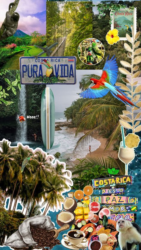 Tropical Place, Beachy Wallpapers, Aesthetic Tropical, Cool Fish Tanks, Brazil Travel, Collage Background, Love Posters, Summer Is Coming, Cute Patterns Wallpaper