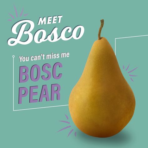 Introducing Bosco, the Bosc pear. Introducing New Product Ads, Pear Varieties, Linkedin Ads, Banner Design Layout, Email Marketing Design Inspiration, Ads Creative Advertising Ideas, Poster Design Layout, Email Marketing Design, Creative Photography Techniques